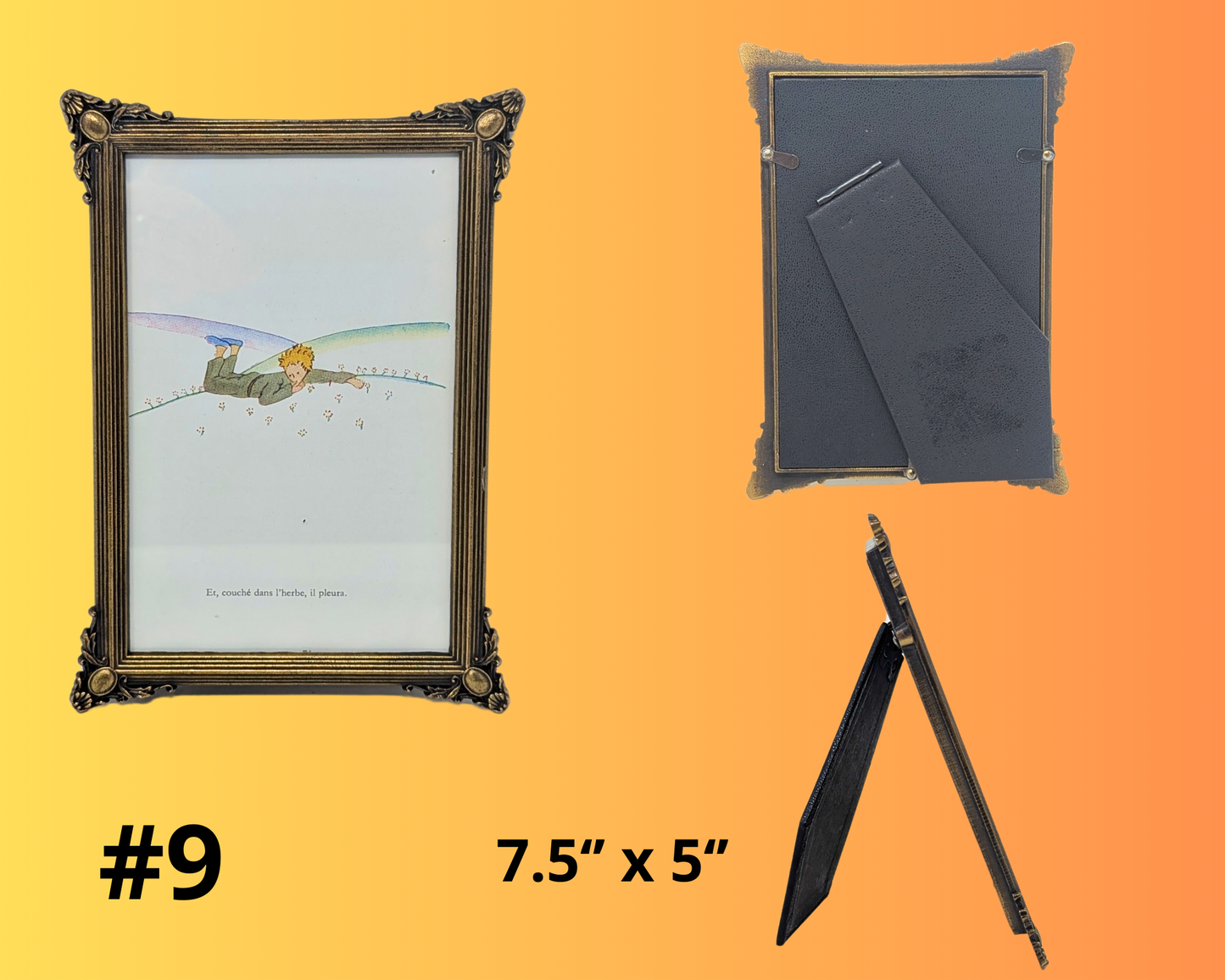 The Little Prince, Le Petit Prince Antoine de Saint-Exupéry, Decorative Frames and Notebooks