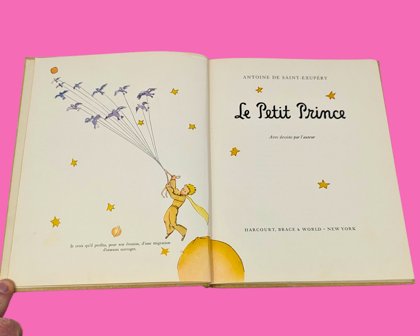 Le Petit Prince Livre
