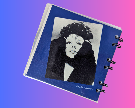 Judy Garland, carnet de notes CD America's Treasure
