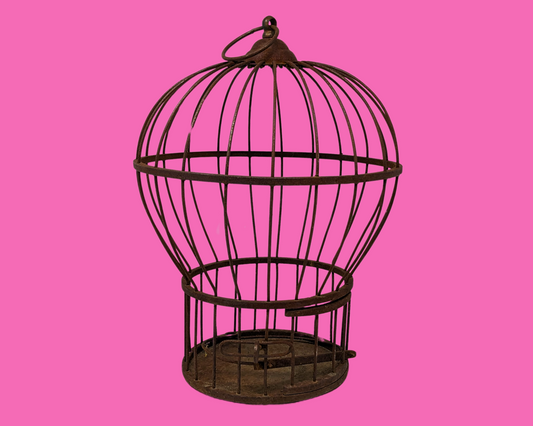 Cage à oiseaux en métal vintage des années 1950