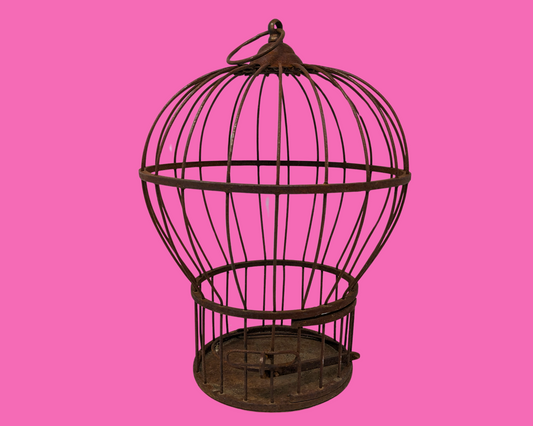 Cage à oiseaux en métal vintage des années 1950