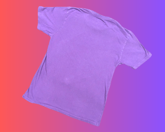 T-shirt violet Y2K des Raptors de Toronto, taille L, pour femme