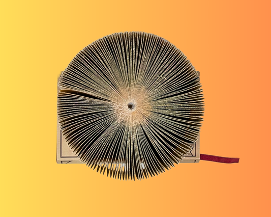 Sculpture d'art pliante de livre faite à la main et recyclée