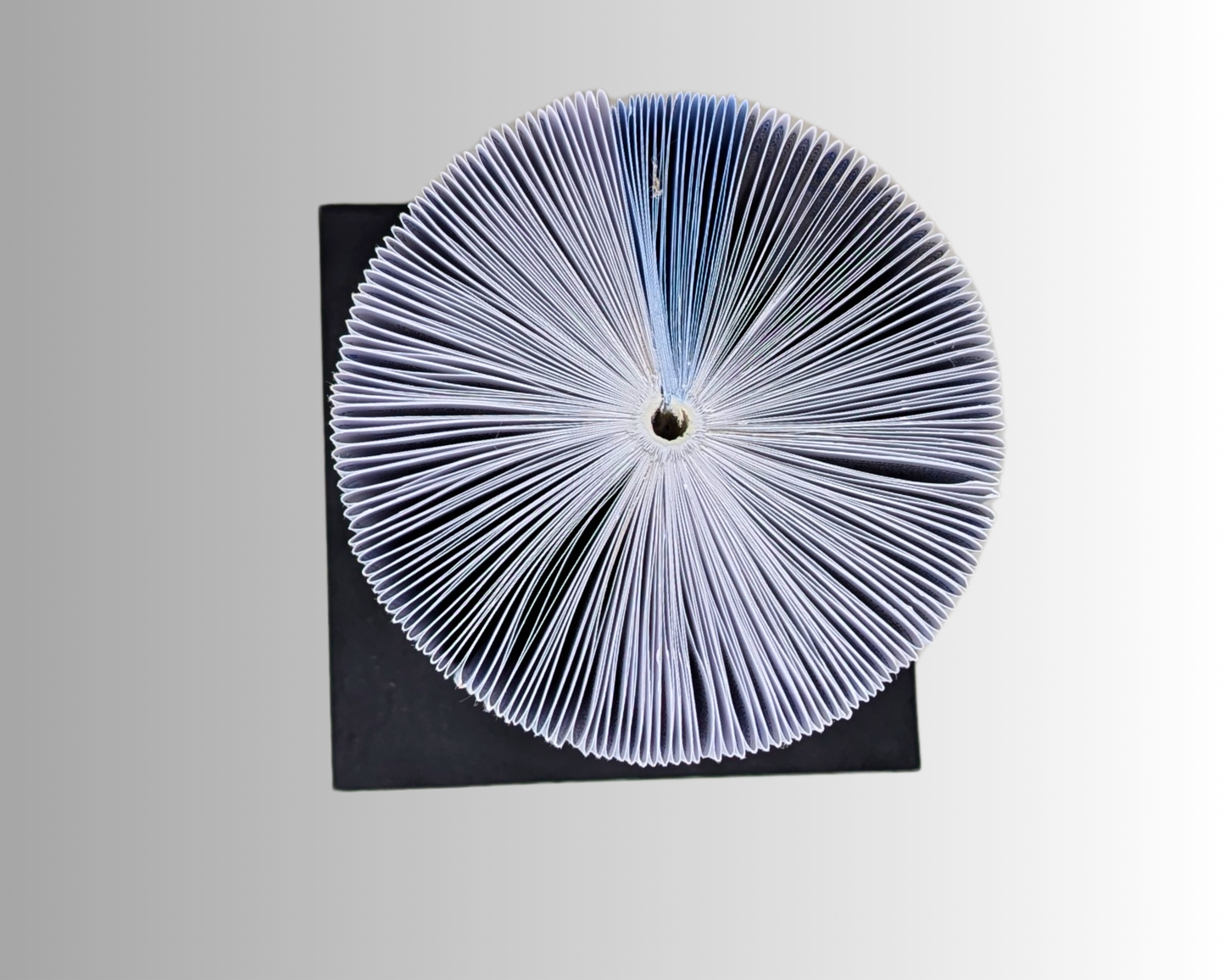 Handmade and Upcycled Book Folding Art Sculpture