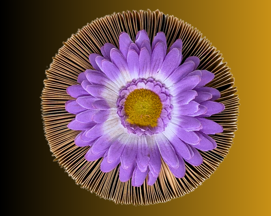 Sculpture d'art pliante de livre faite à la main et recyclée