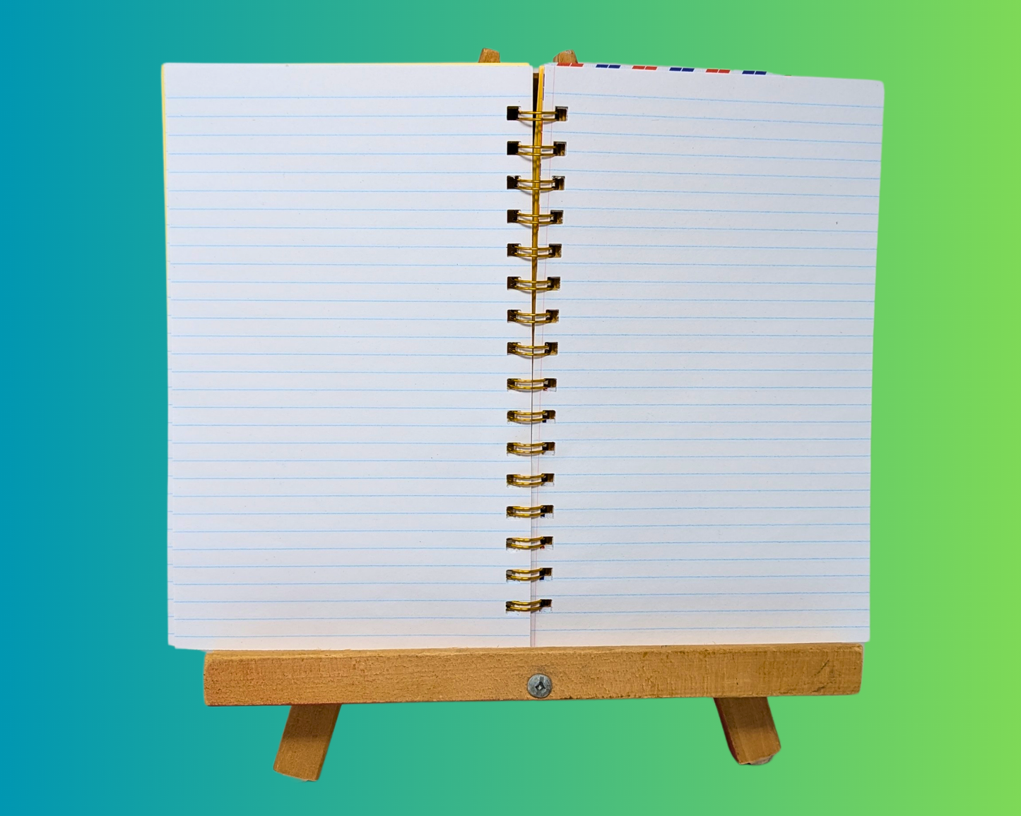 Handmade and Upcycled La Fiancée Américaine Novel by Eric Dupont Notebook