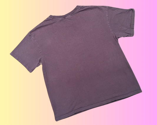 Y2K Pink Floyd Tour '73 T-Shirt Size M