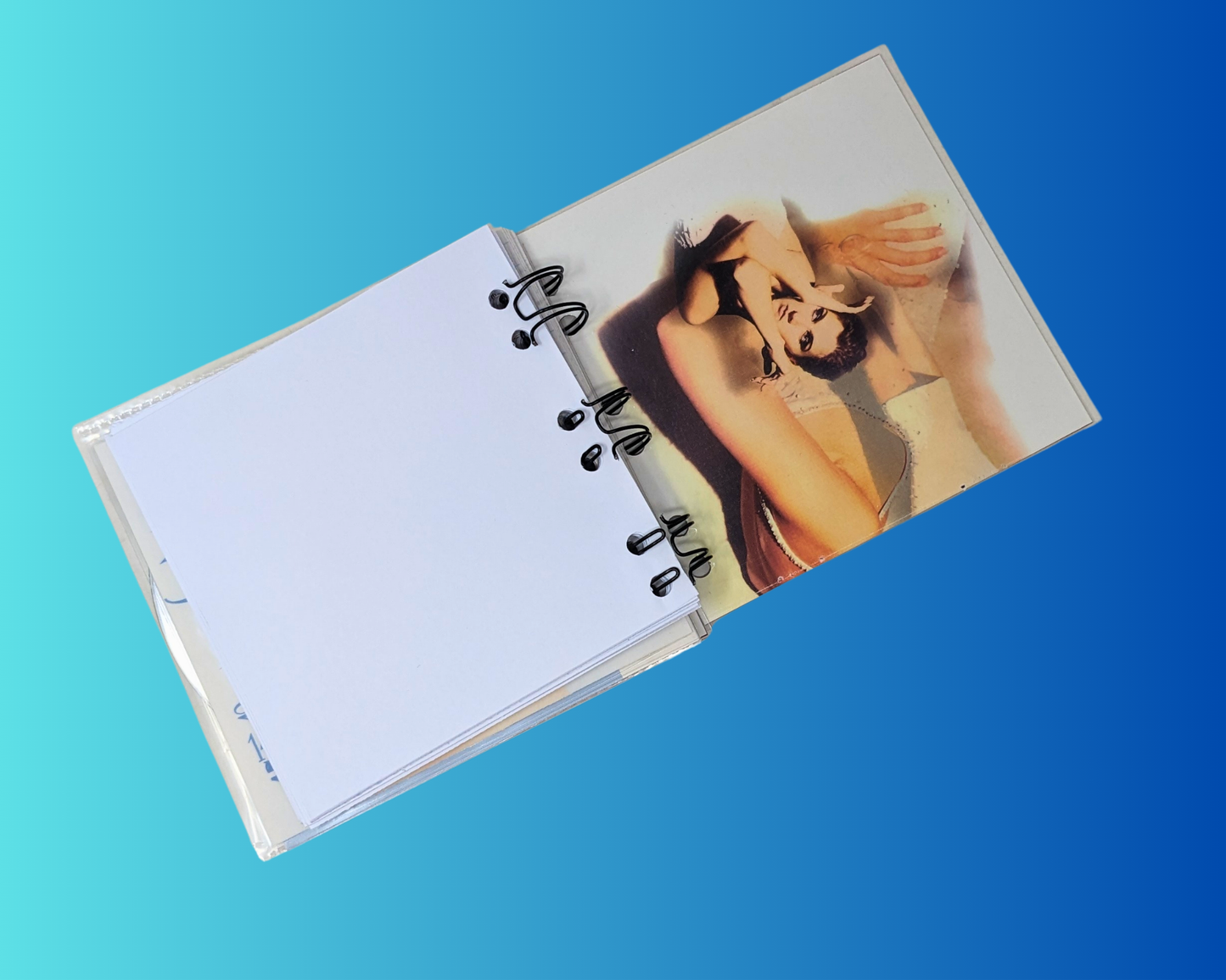 Céline Dion, Falling Into You CD Notebook