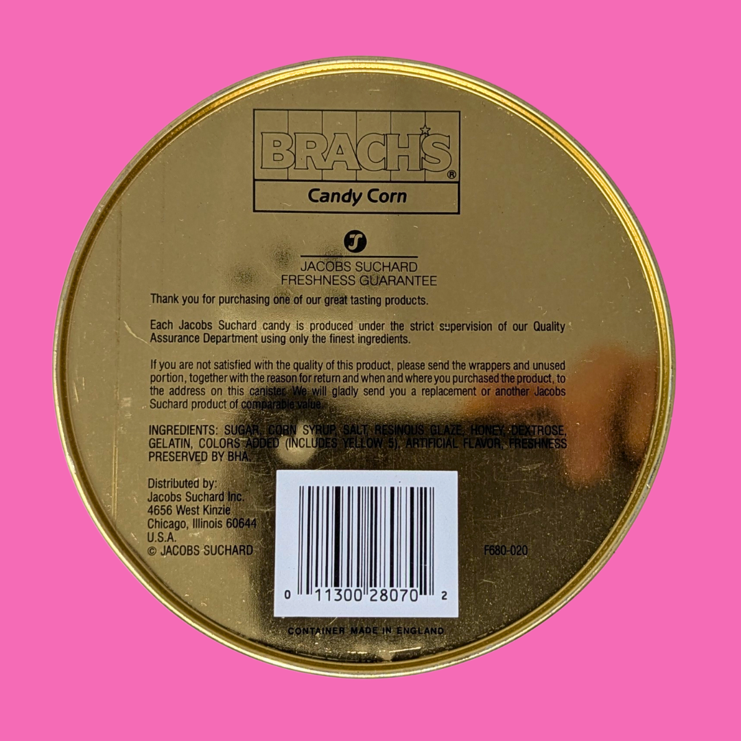 Vintage 1990's Looney Tunes Tin Box