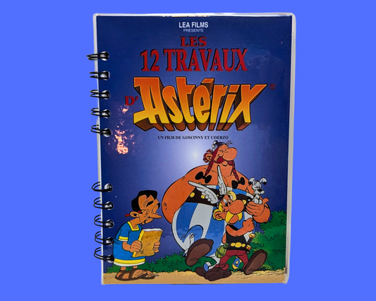 Carnet de film DVD Les 12 Travaux d'Astérix