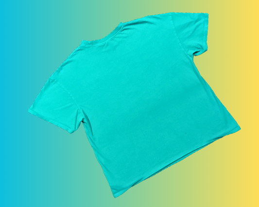 T-shirt H&M Y2K Charlie Brown, Snoopy, Peanuts Mud Bowl Champions Taille M