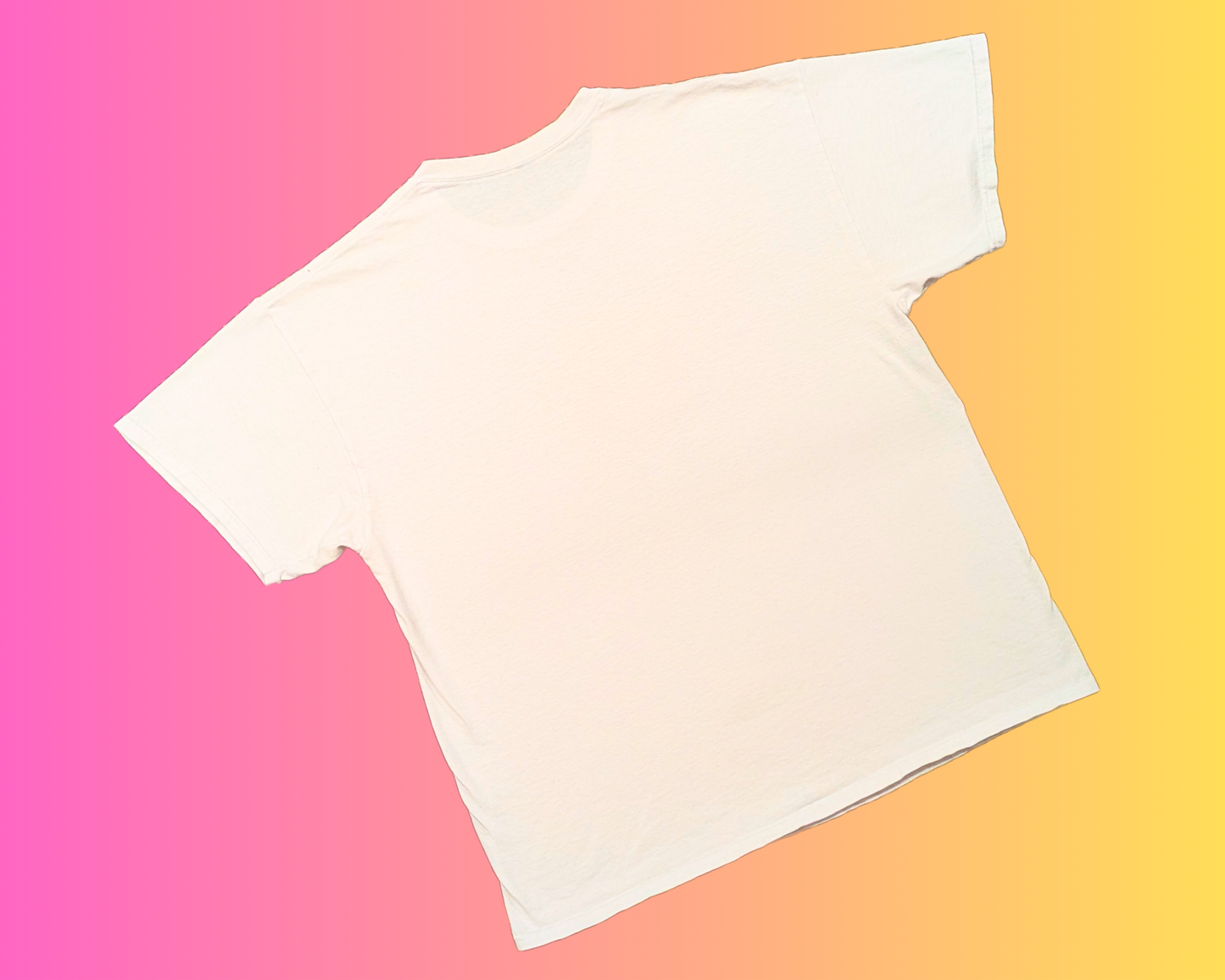 Bagel St-Viateur Y2K Montréal Taille L