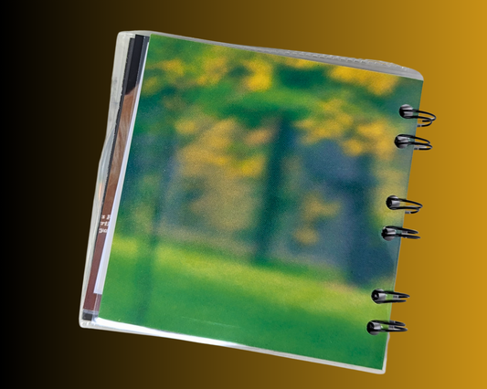 Jean Leloup, Les Fourmis CD Notebook