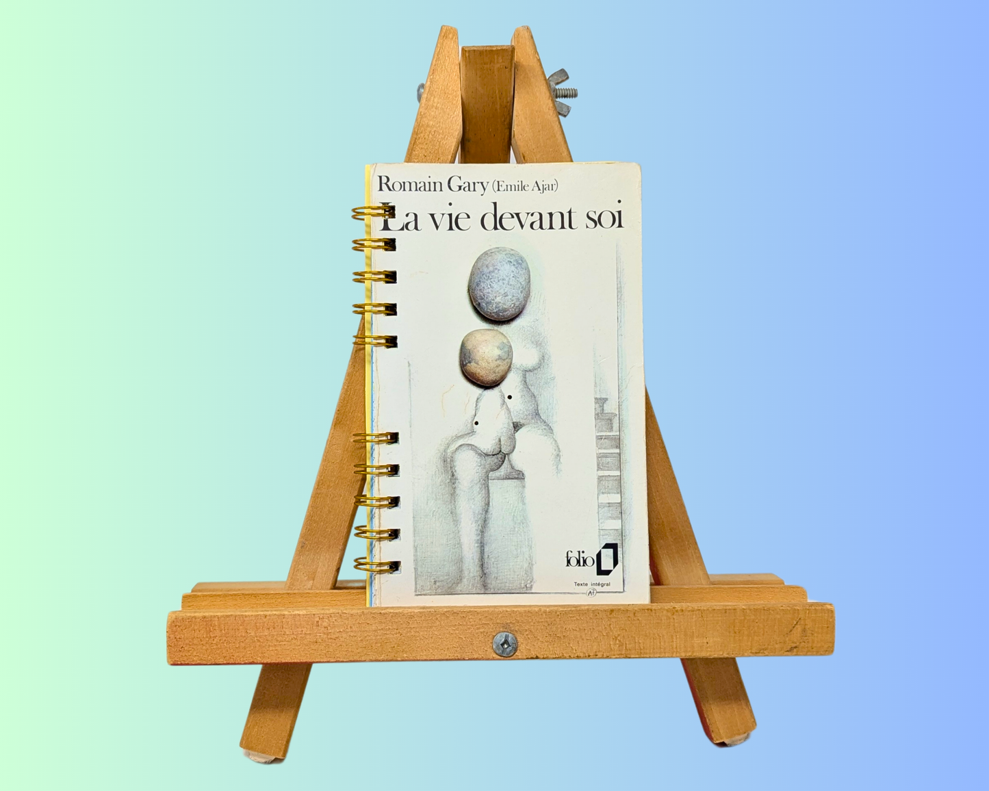 Handmade and Upcycled La Vie Devant Soi Novel by Romain Gary (Emile Ajar) Notebook