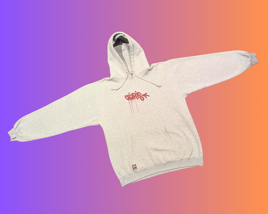 Y2K Gray Osiris Hoodie Size L