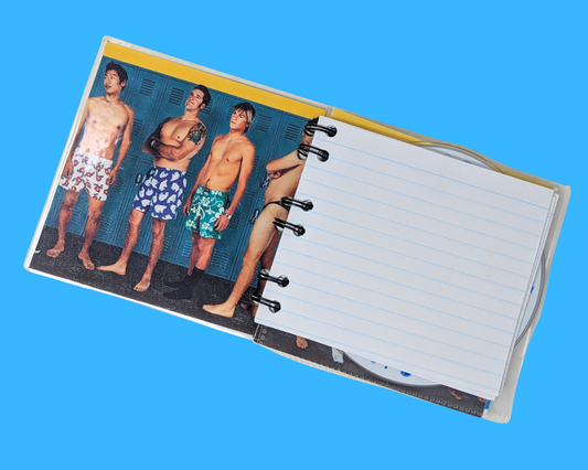 Blink 182, Lavement de l'État CD Notebook