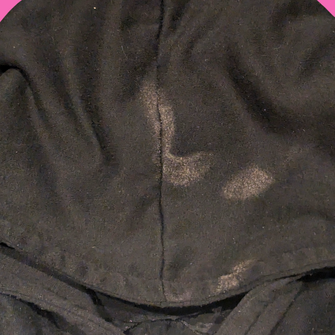 Vintage 1990's Miniature Pinscher Hoodie Size L for Women