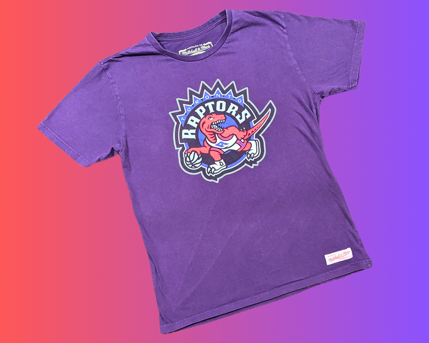 Y2K Purple Toronto Raptors T-Shirt Size L for Women