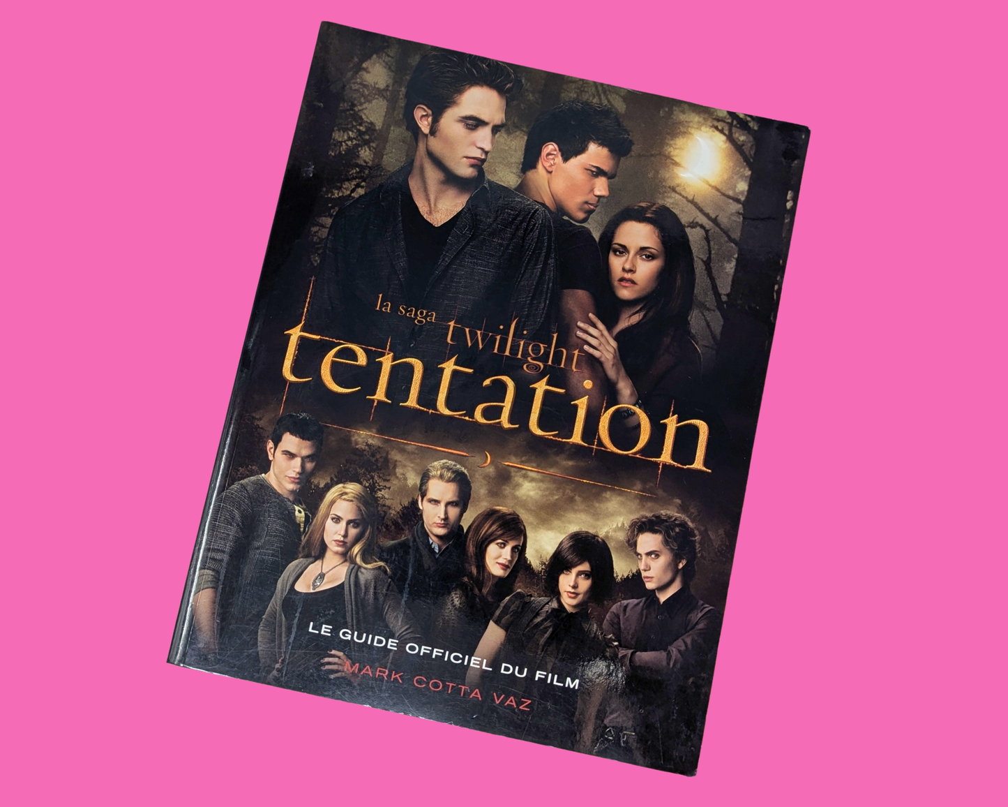 La Saga Twilight Tentation French Book