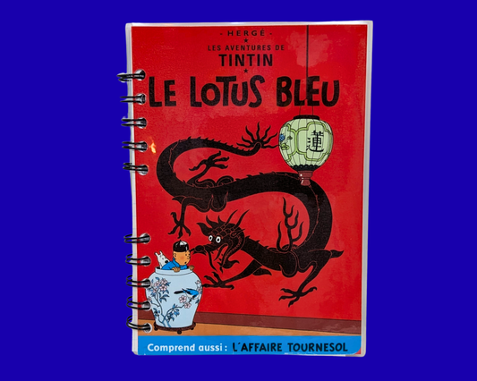 Carnet de film DVD Tintin, Le Lotus Bleu