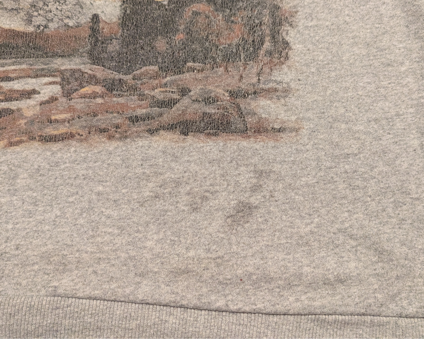 Vintage 1990's Long Wings Mountains National Park Crewneck Size L
