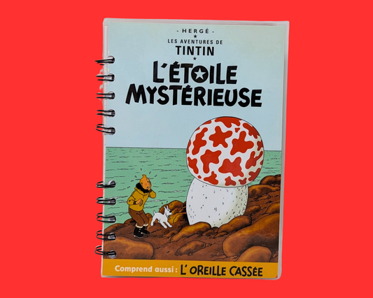 Tintin, l'Étoile Mystérieuse DVD Film Carnet