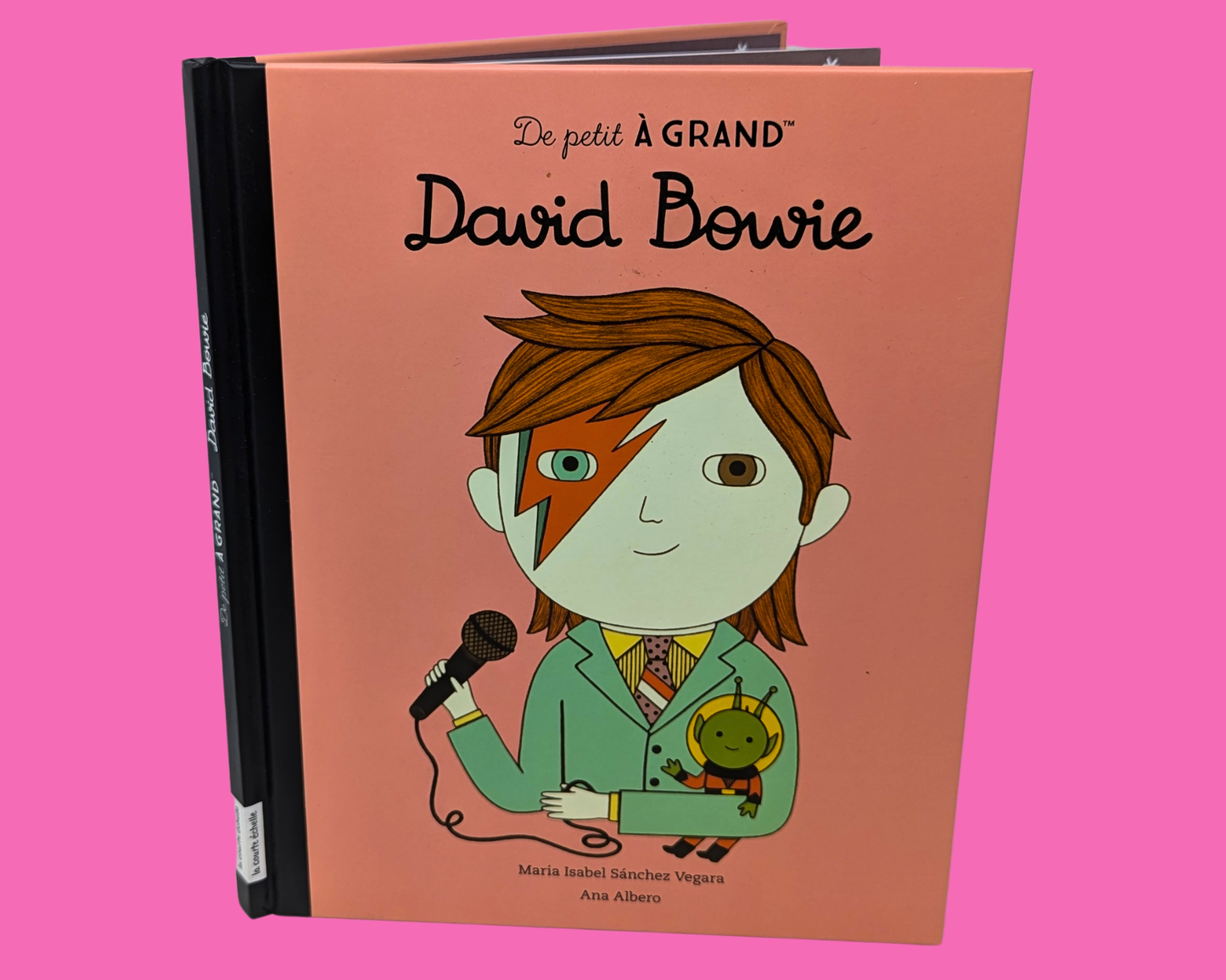 De Petit à Grand, David Bowie Illustrated Small Book