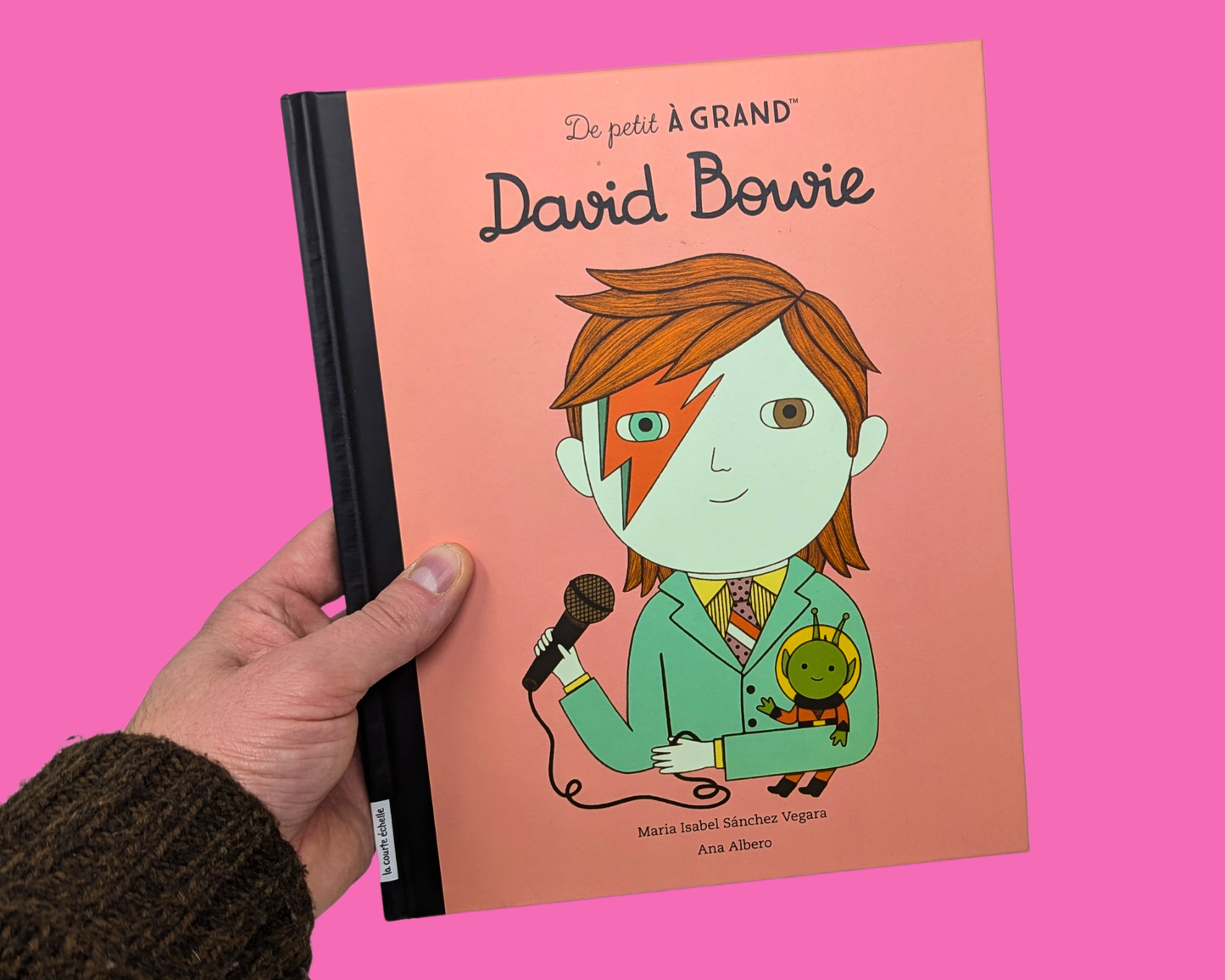 De Petit à Grand, David Bowie Illustrated Small Book