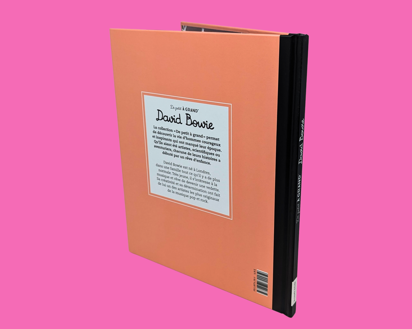 De Petit à Grand, David Bowie Illustrated Small Book