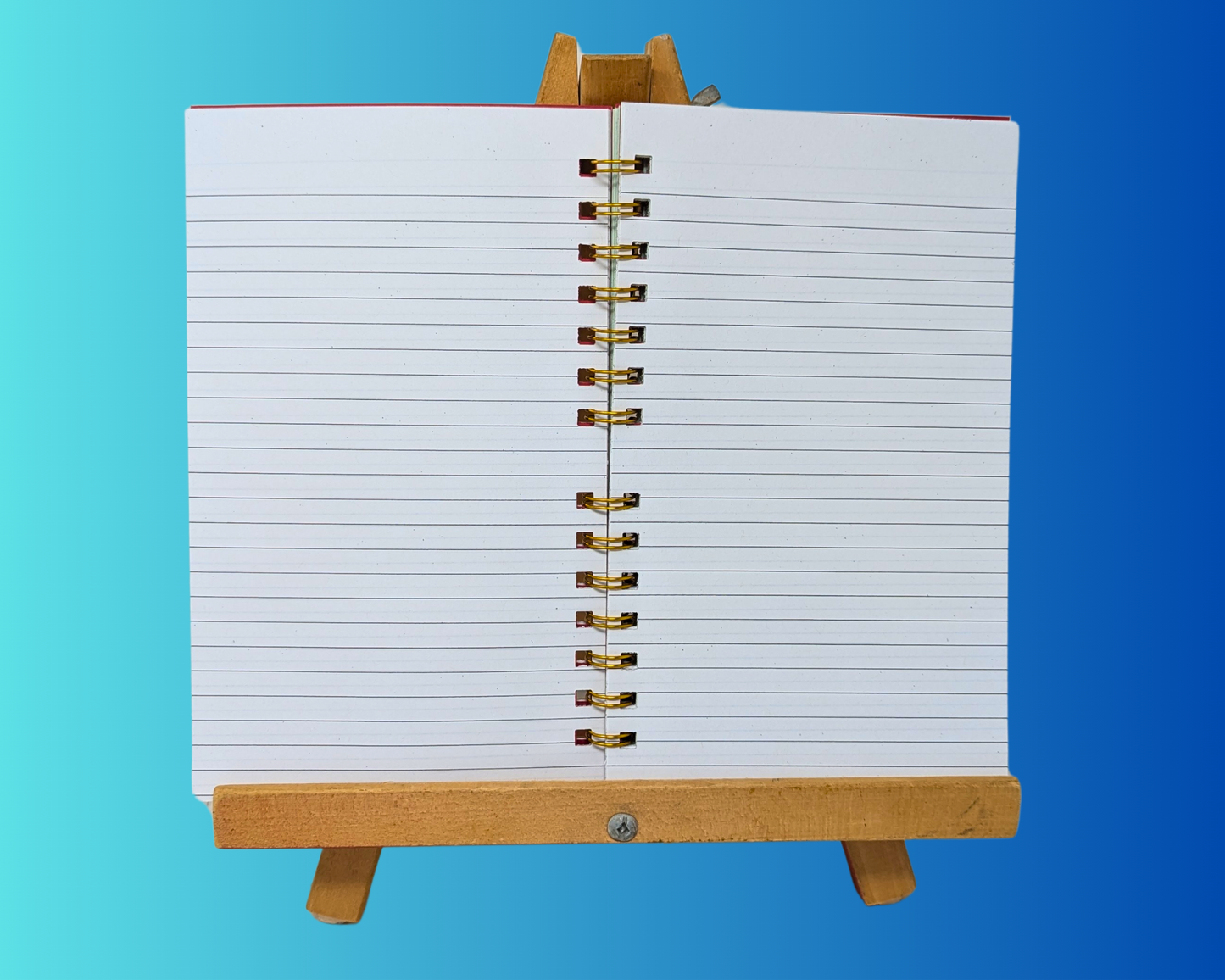 Handmade and Upcycled Kukum Novel by Michel Jean Notebook
