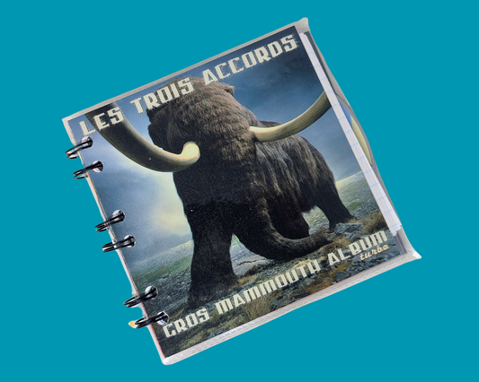 Les Trois Accords, Gros Mammouth Album CD Notebook
