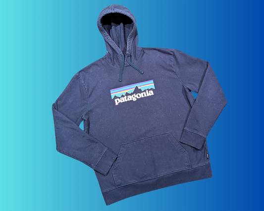 Y2K Dark Blue Patagonia Hoodie Size L
