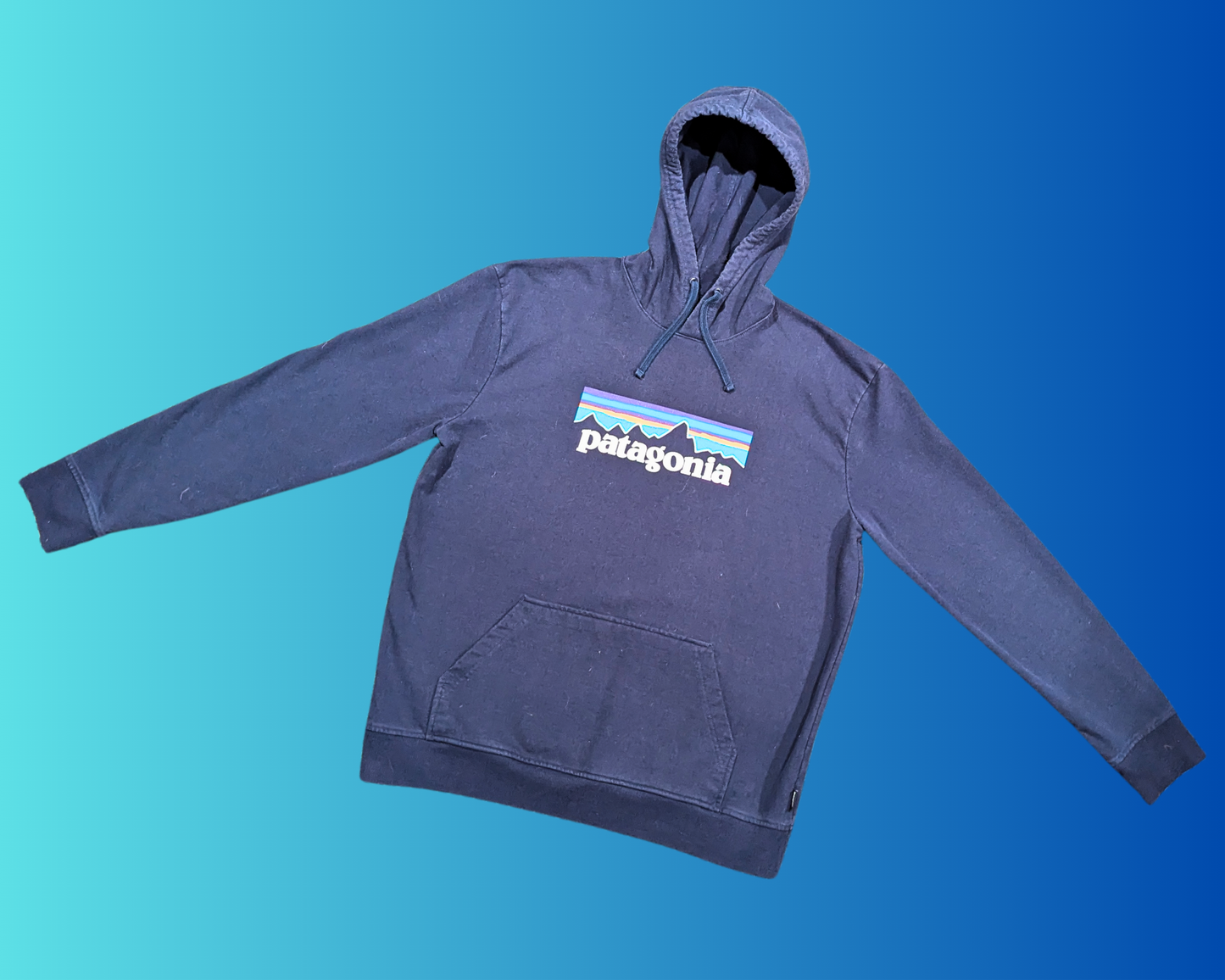 Y2K Dark Blue Patagonia Hoodie Size L