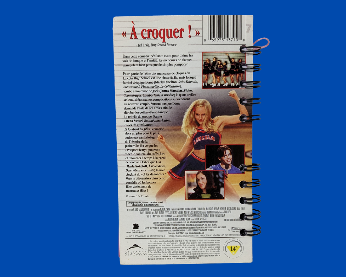 Cahier de film VHS Sugar and Spice version française