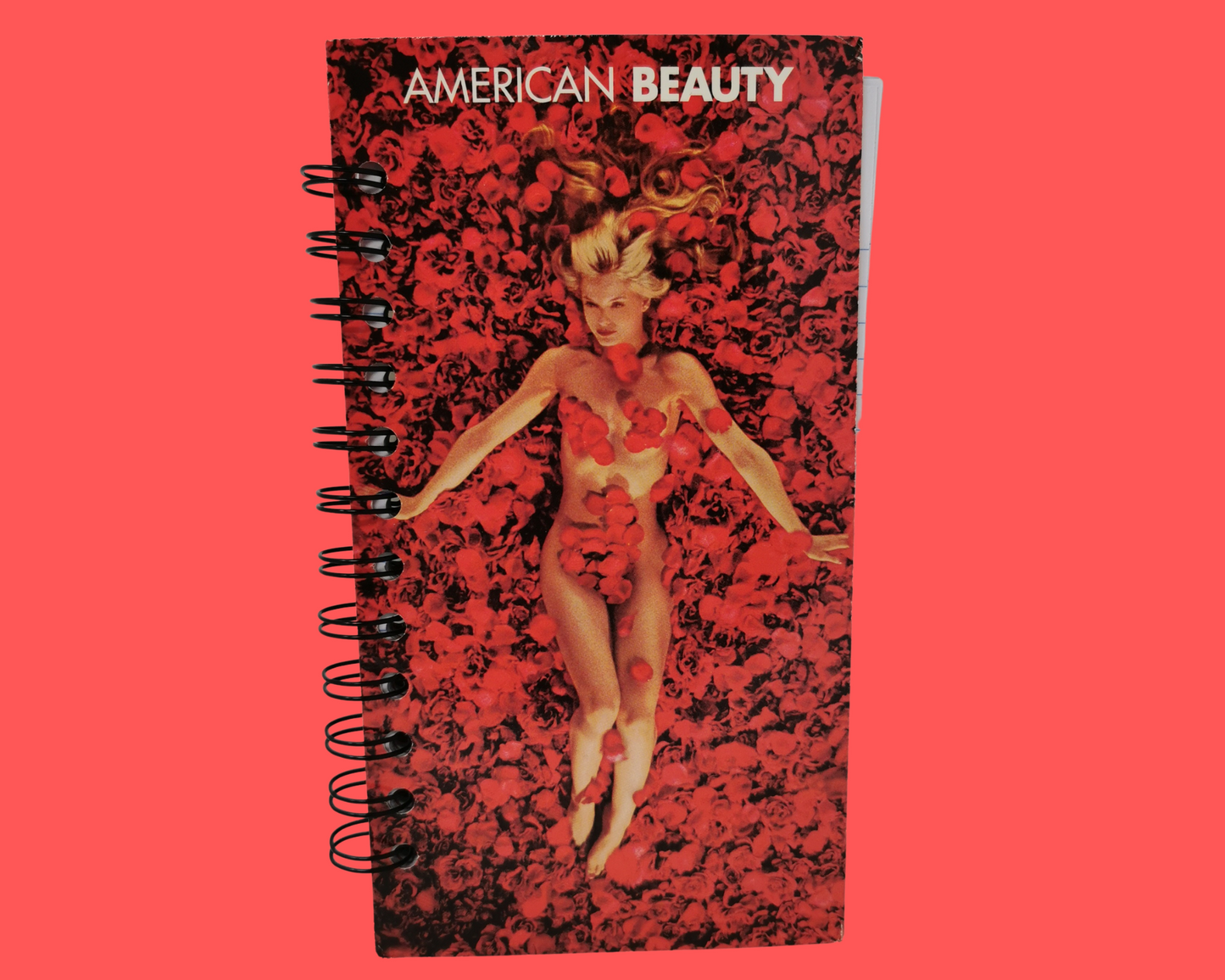 Cahier de film VHS American Beauty